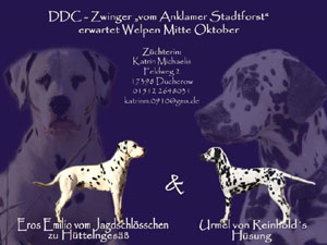 Eros Deckanzeige
