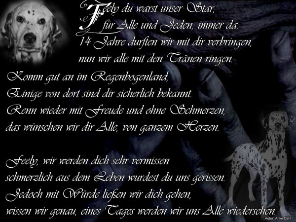 FeelyInMemoriam-600