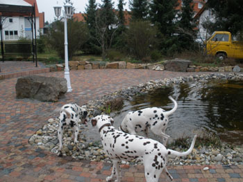 Trio am Teich-350