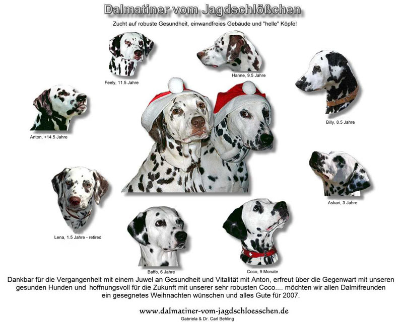 Versuch13-800