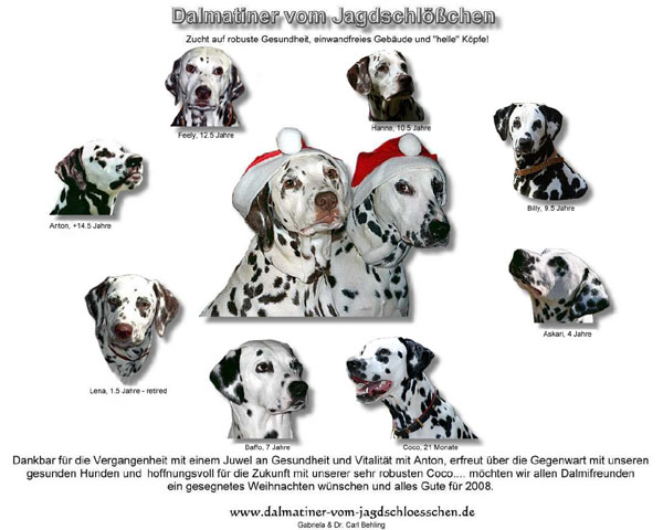 Weihnachten2008-600