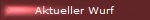 Aktueller Wurf