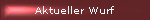 Aktueller Wurf