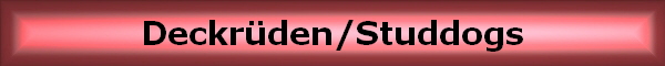 Deckr�den/Studdogs