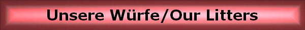 Unsere W�rfe/Our Litters