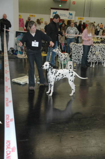 Coco N�rnberg4-13-01-07HP