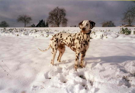 Harmonie von Reinholds H�sung