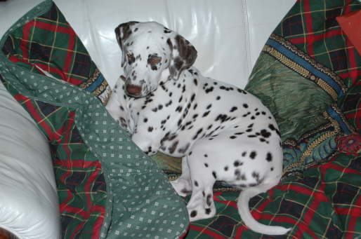 Lena 10-07-05
