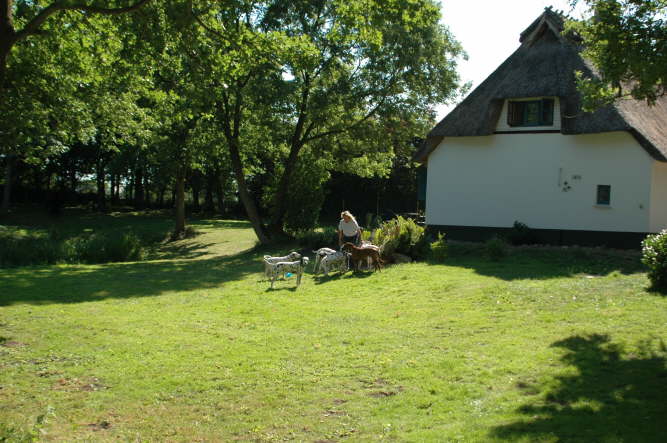 MK S�dteil mit Hunden