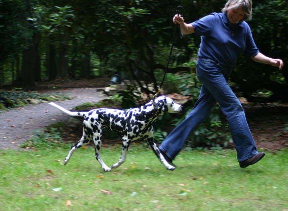 flotter Schwung